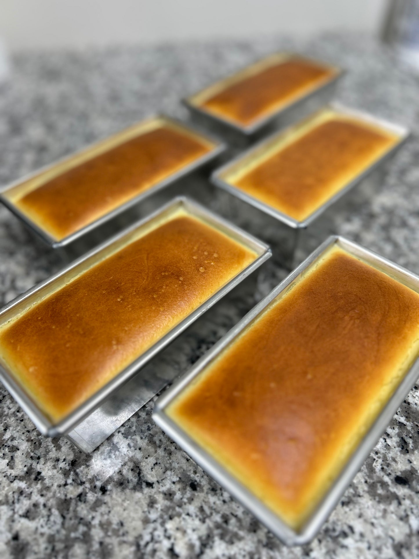 淡海ベイクドクリームチーズ　ギフトボックス入り